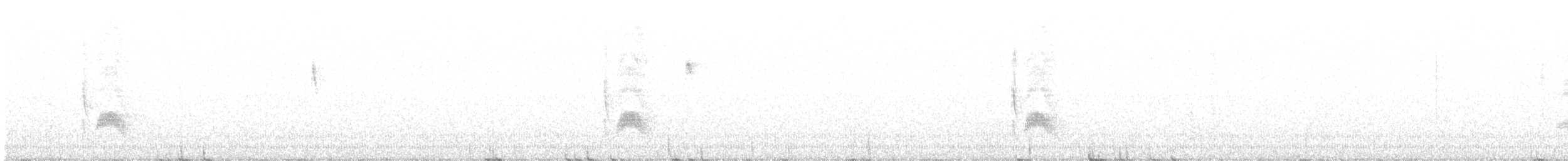 Серогрудый тиранн - ML520544251