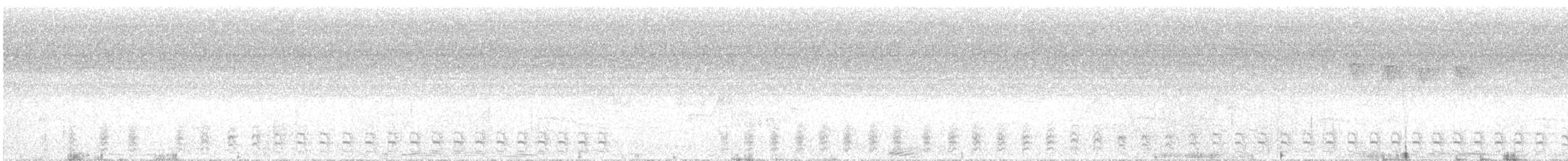 Black-crowned Antshrike - ML520585021