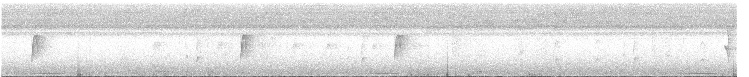 holub bledoprsý - ML520585251