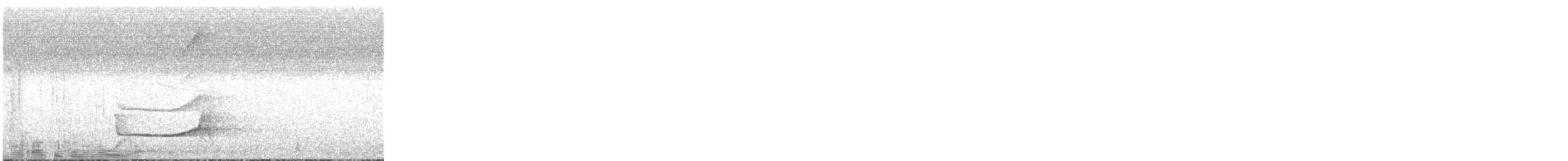 perletreløper - ML520589261