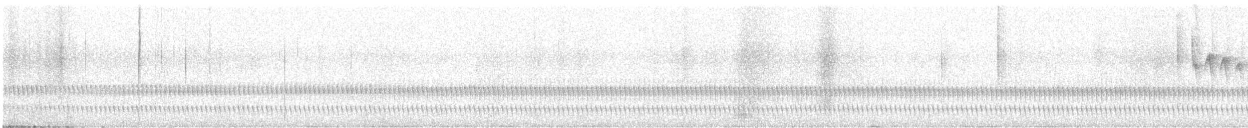 ロハオタテドリ - ML520593051