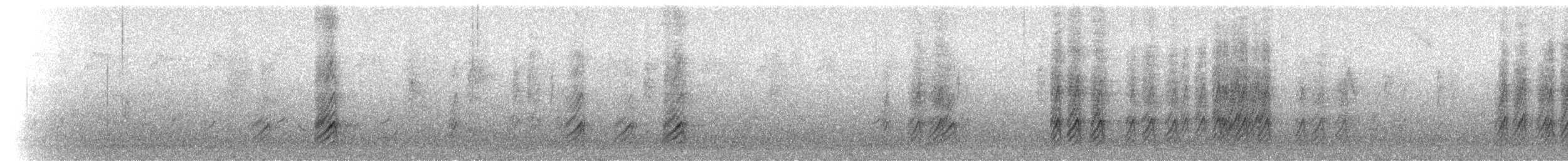 gulnebbskjære - ML52068841