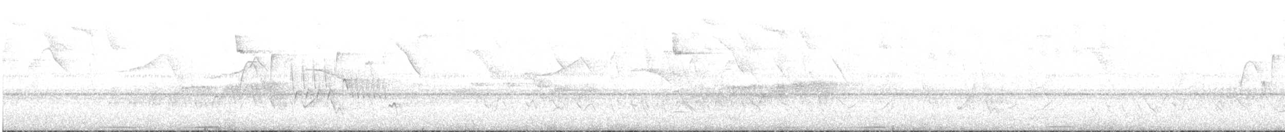 Large-tailed Dove - ML520706661