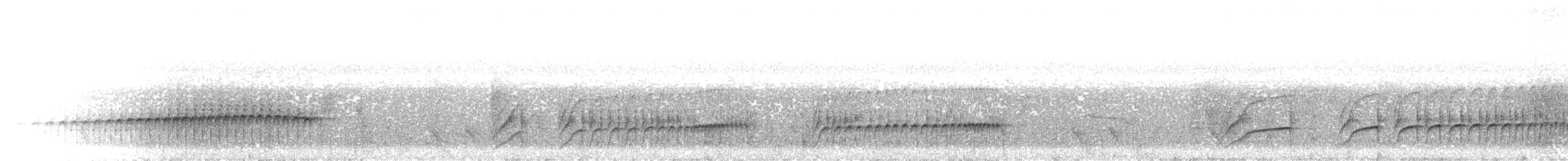 leskovec neotropický - ML520718721
