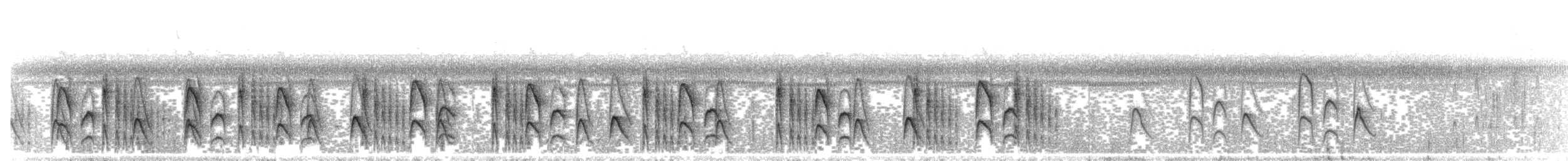 Nordstelzentyrann - ML520723041