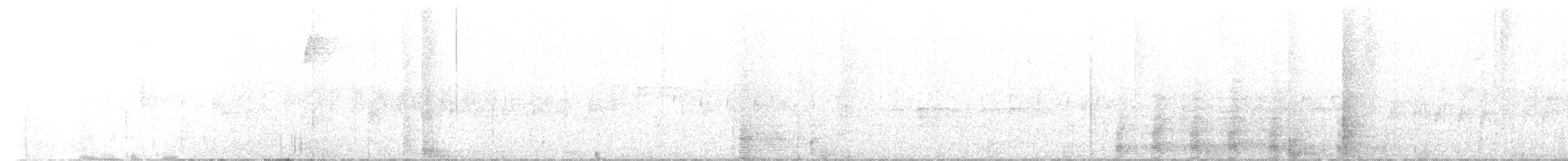 båtnebbhegre (zeledoni gr.) - ML520739521