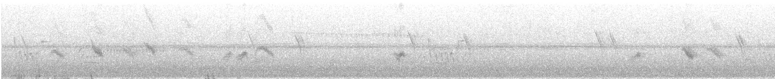 Hirondelle gracieuse - ML520764391