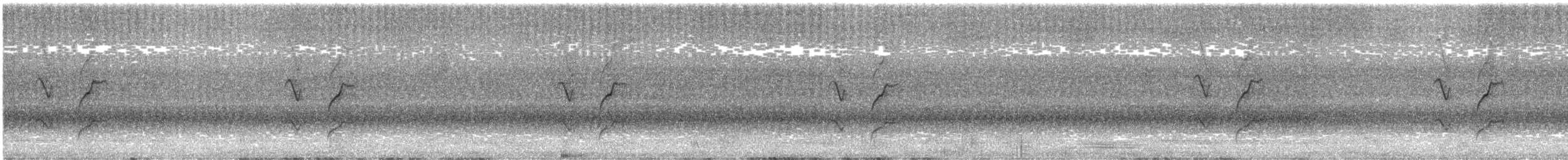 Sooty-fronted Spinetail - ML520802221