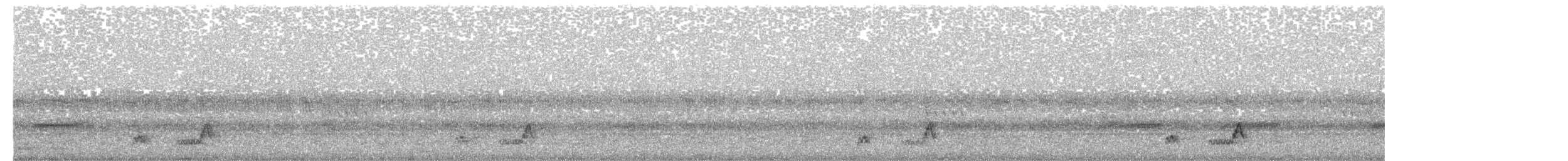 Mexikonachtschwalbe - ML520812521