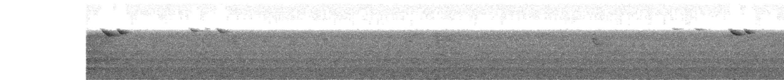 Ерміт смугастохвостий - ML520816051