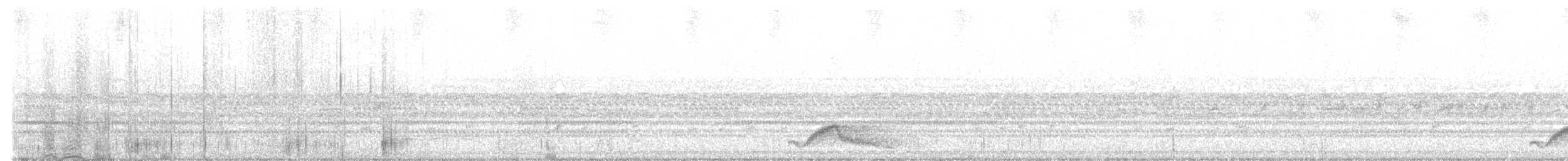 Pauraquenachtschwalbe - ML520836681