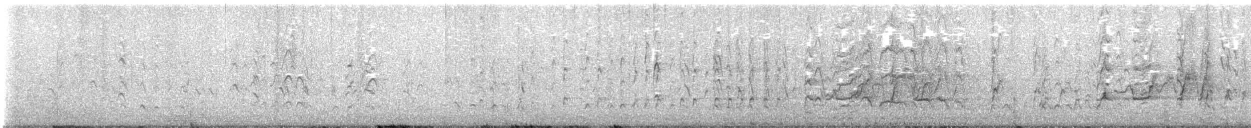 Kara Karınlı Islıkçı Ördek - ML520838501