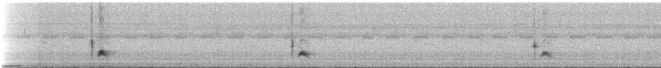 Серогрудый тиранн - ML520864801