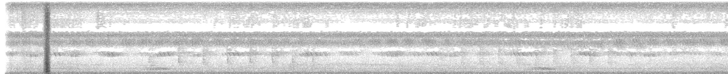 東方角鴞(modestus) - ML520880131