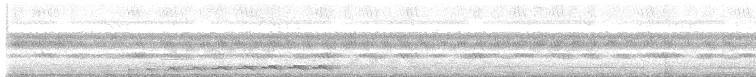 Asian Koel - ML520880221