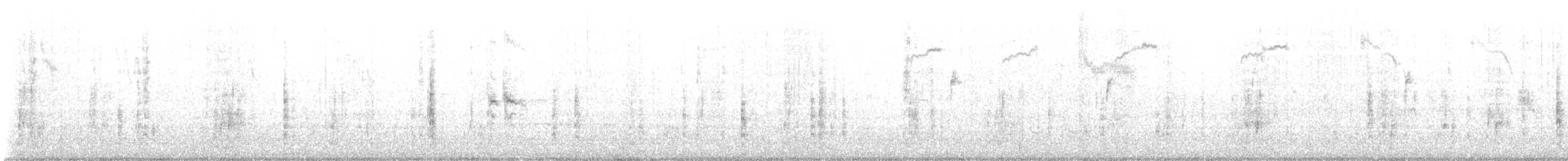 Brewer's Blackbird - ML520890691