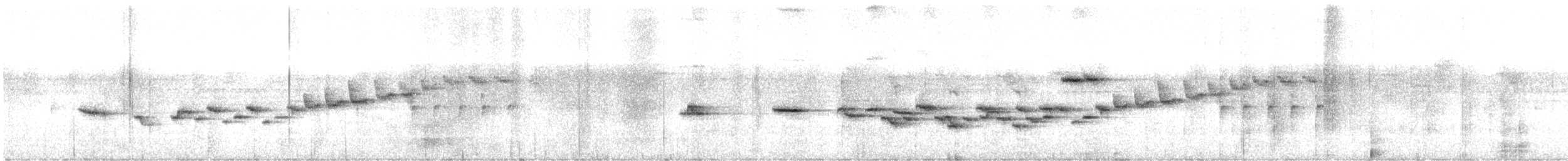 Brachyptère à ventre roux - ML520912311