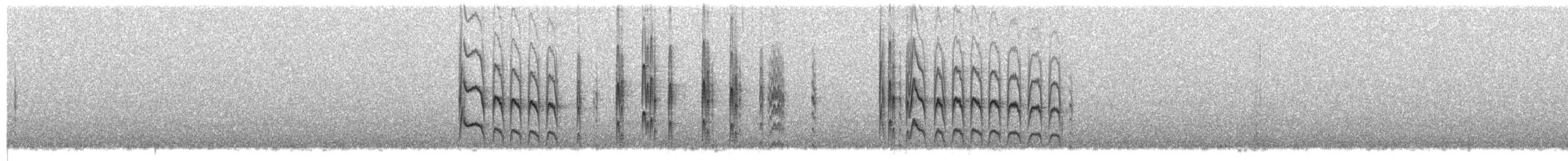 Graubrust-Tachurityrann - ML520928921