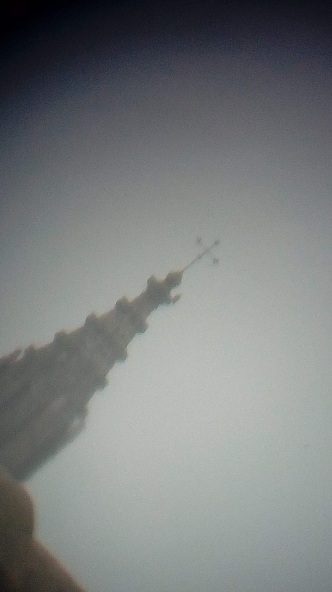 Эгэл шонхор - ML520957771