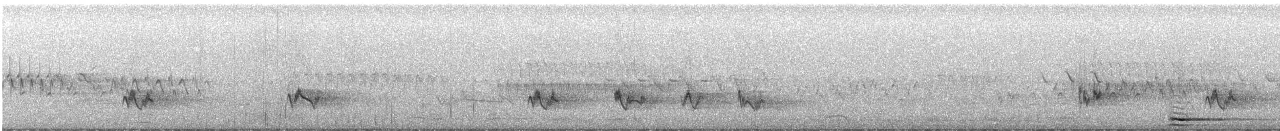 Western Tanager - ML520984931