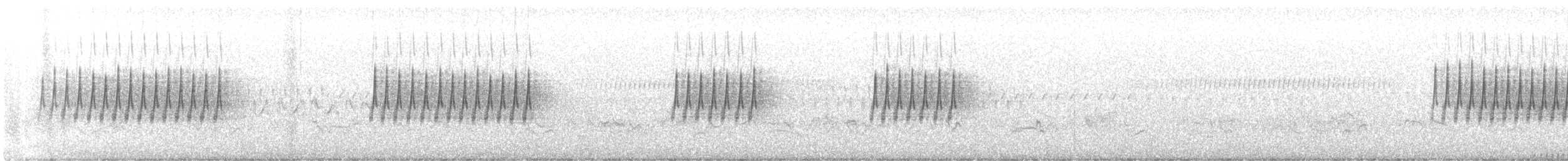 Chipping Sparrow - ML520984981