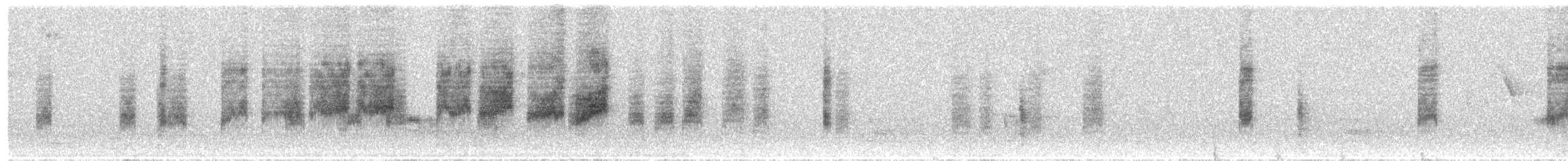 Кущовик білочеревий - ML52104181