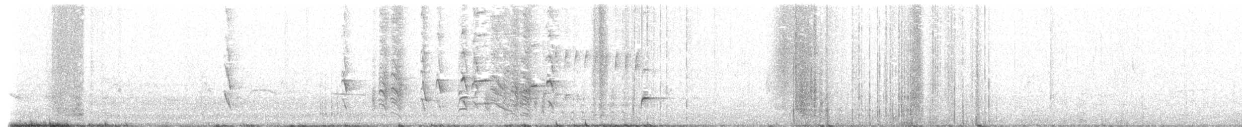 Austral Blackbird - ML521125761
