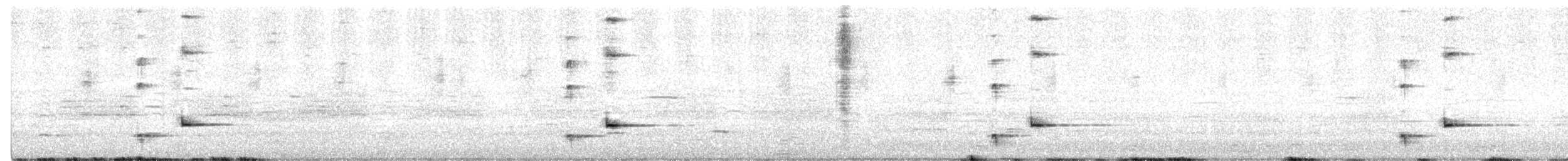 Perruche de Pennant (groupe elegans) - ML521231631