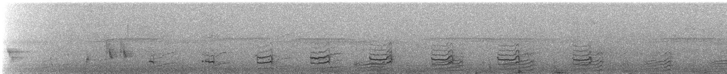Spotless Crake - ML521261941