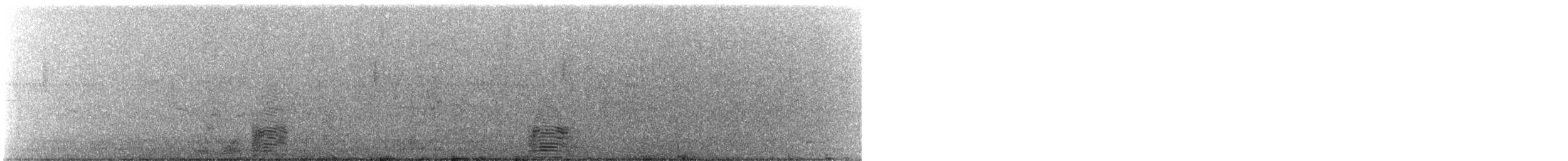 ברווז בלתי-מזוהה - ML521263281
