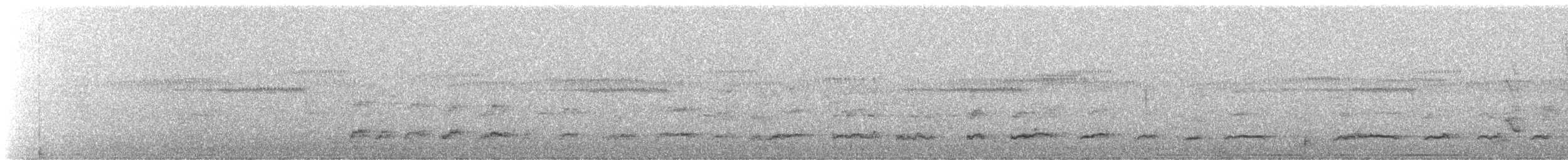 Spotless Crake - ML521267671