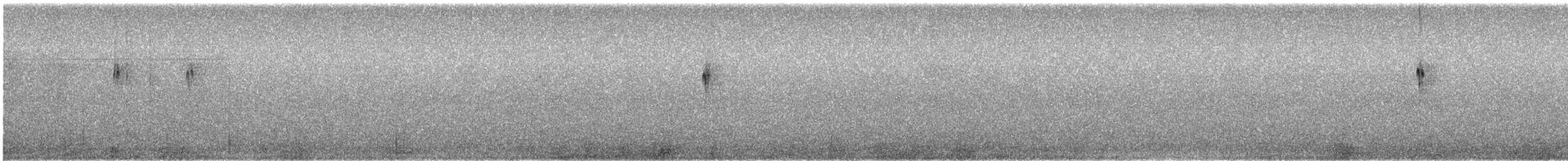 Светлошапочная дормилона - ML521282061