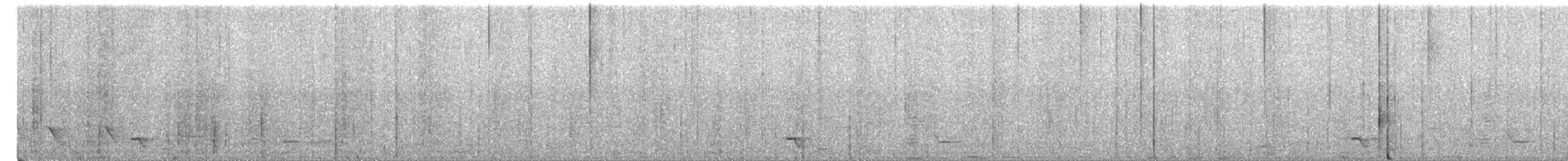 Méliphage carillonneur - ML521299131