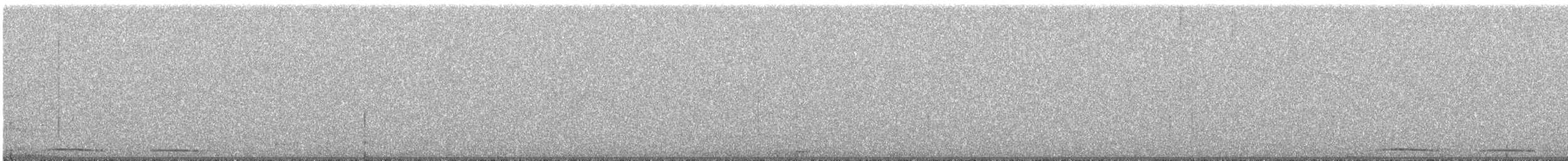 nattsvermerugle - ML521300131
