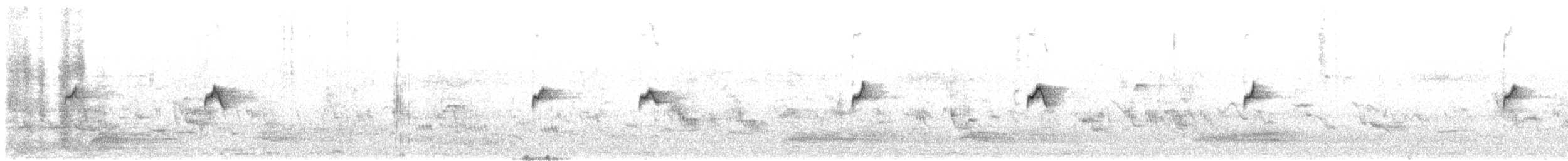 Common Chiffchaff (Siberian) - ML521308341