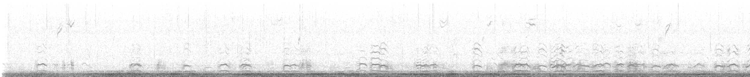 ハクガン - ML521322311