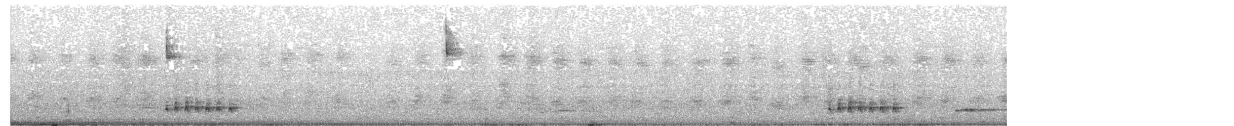 Wood Thrush - ML521333071