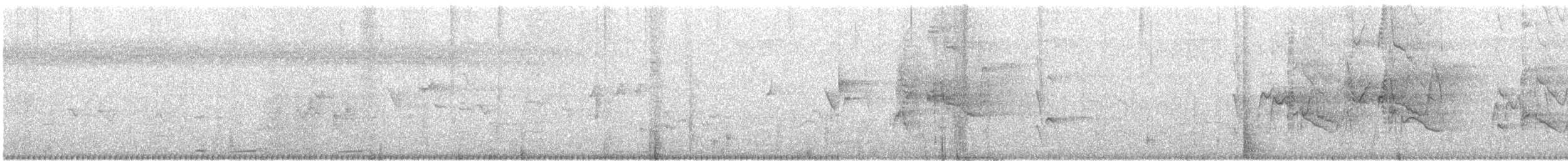 Свистач плямистобокий - ML52135401
