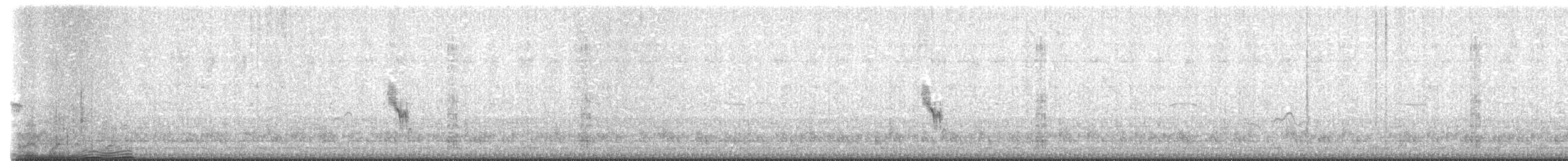 Буроспинный конёк - ML521357411
