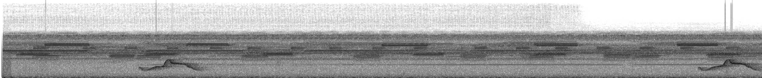 Common Pauraque - ML521396071