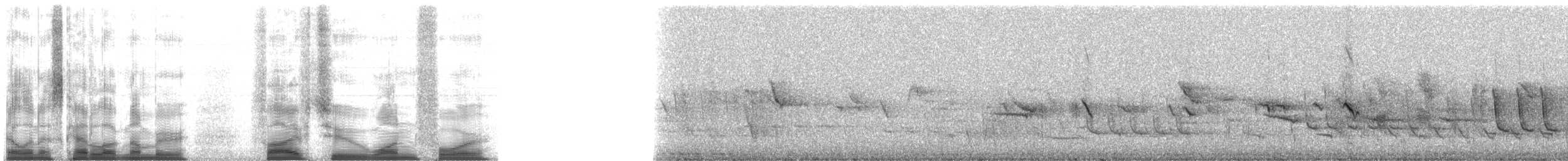 Picchion cramoisi - ML5214