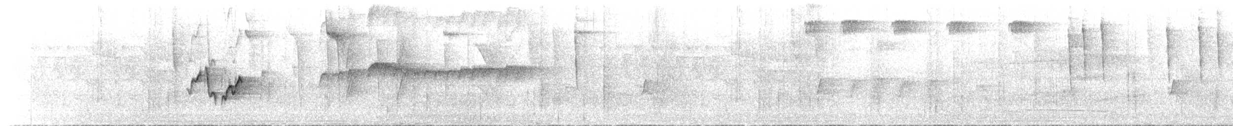 Віреончик білочеревий (підвид minor) - ML52140621