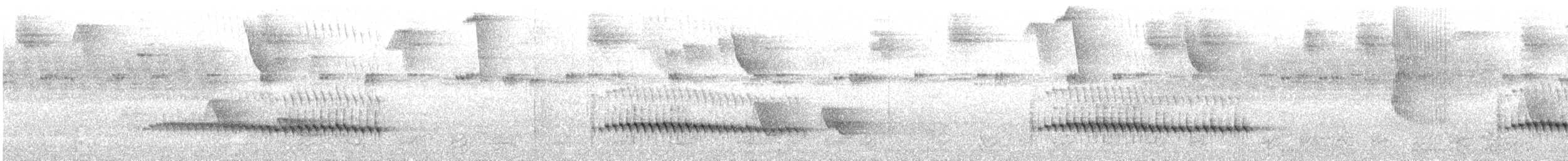 Bergvireo - ML52141131