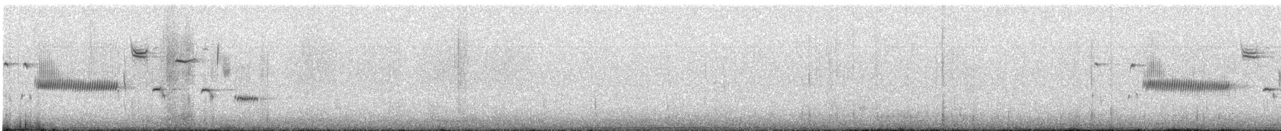Song Sparrow - ML52142851