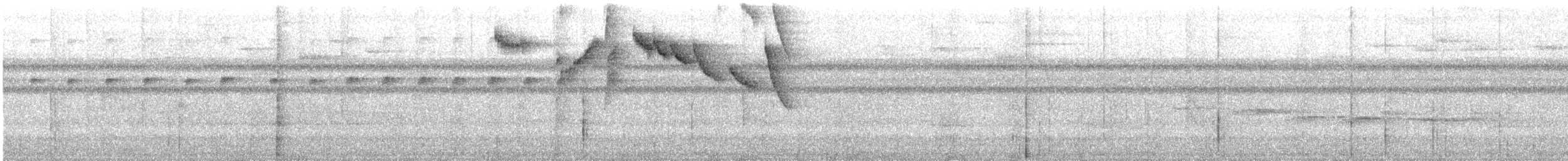 Полосатохвостый колибри-отшельник - ML521431091