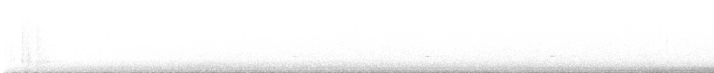 gråsolitærtrost - ML521436051