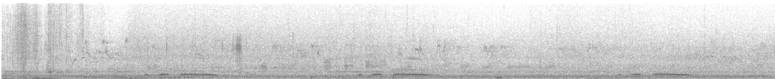 珠頸斑鳩 - ML521441041