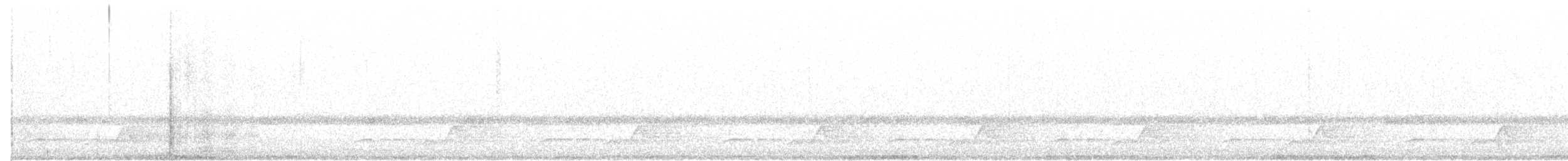 Schwarzkehl-Nachtschwalbe - ML52145791