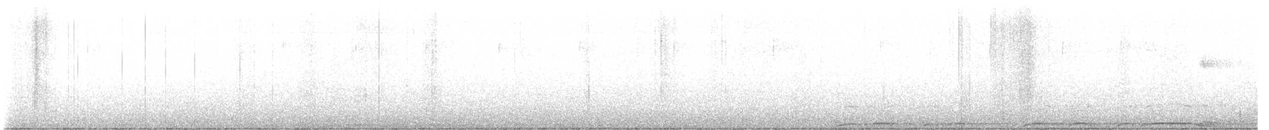 Barred Owl - ML521481261