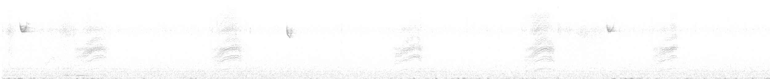 Тауї плямистий - ML521487451
